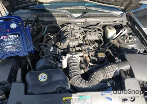 2005 Ford Mustang from USA, damaged, VIN 1ZVFT84N555178953